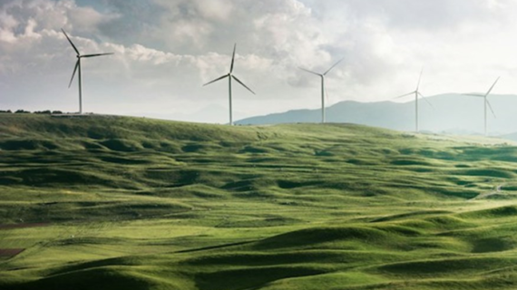 El fin de la ilusión verde: tesis para una ecología realista