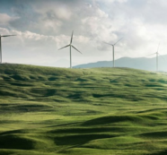 El fin de la ilusión verde: tesis para una ecología realista