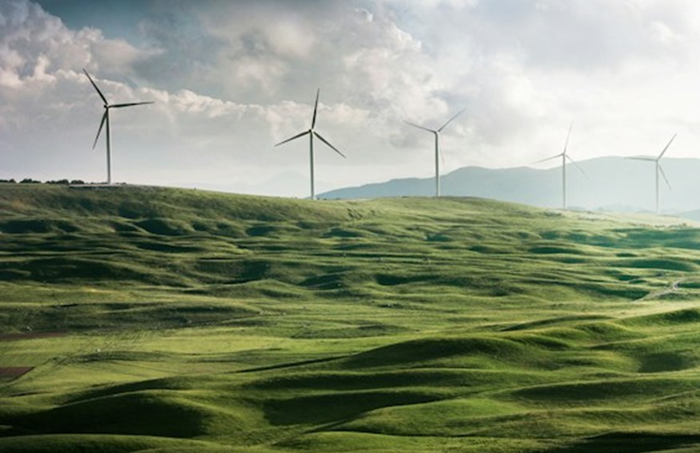 El fin de la ilusión verde: tesis para una ecología realista El fin de la ilusión verde: tesis para una ecología realista